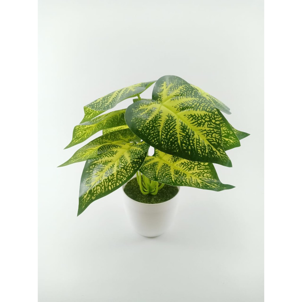 COD TANAMAN HIAS TANAMAN DAUN PLASTIK TANAMAN HIAS RUMAH BUNGA HIAS BUNGA PLASTIK BUNGA BP8829-HIJAU TUA