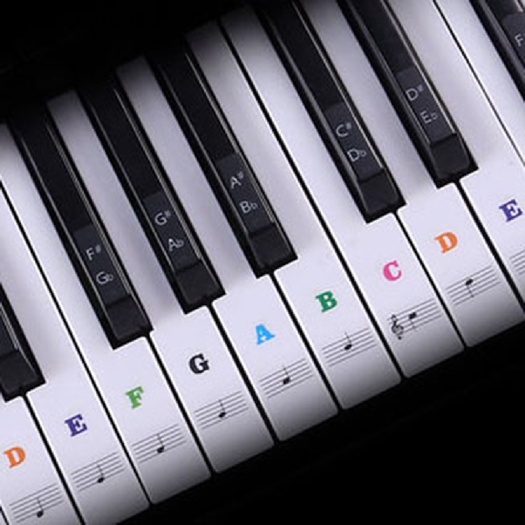 Stiker Keyboard Piano Elektronik 54 / 61 Kunci Model Transparan