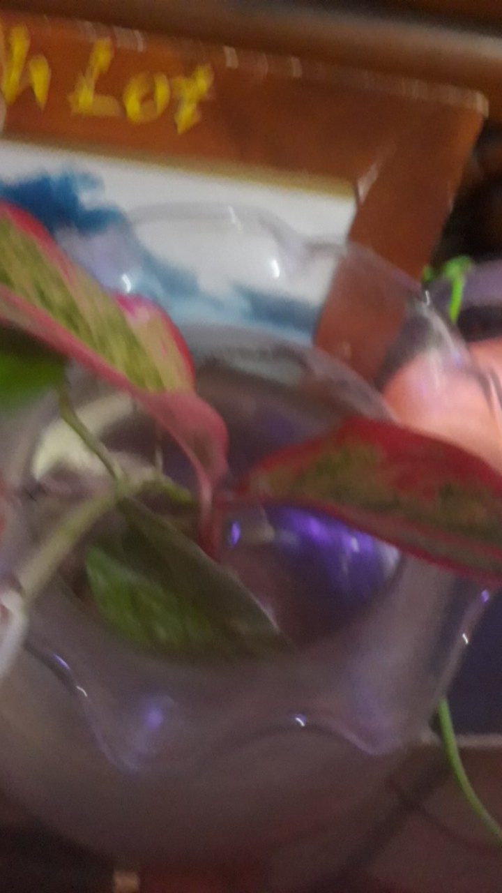 Indira Rok Span Plisket Panjang Batik Wanita Jumbo Fit To Xxl