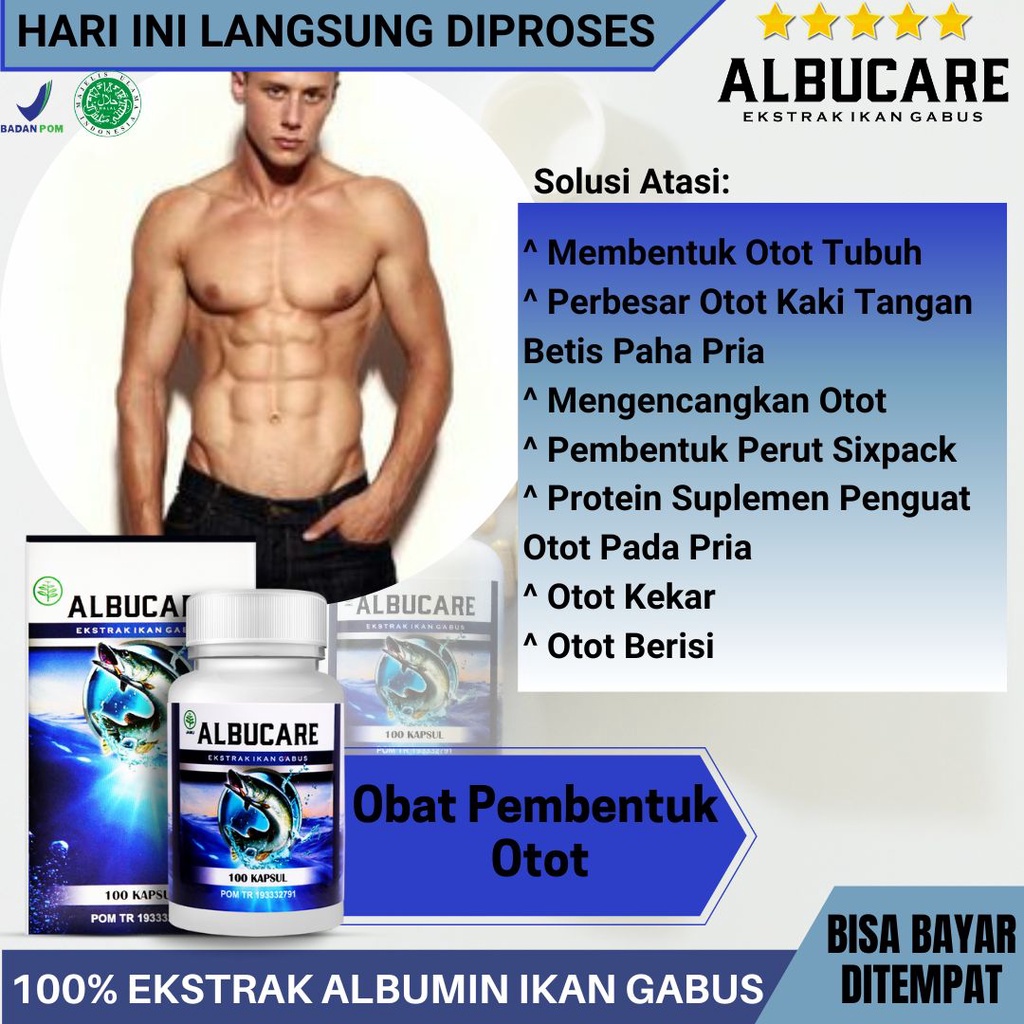 Albucare Solusi Obat Pembentuk Otot HALAL Albumin Ikan Gabus - Obat untuk Membentuk Otot Tubuh Perbe