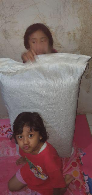 The Luxe Mattress Random Color 4 Folding 70x180cm Waterproof