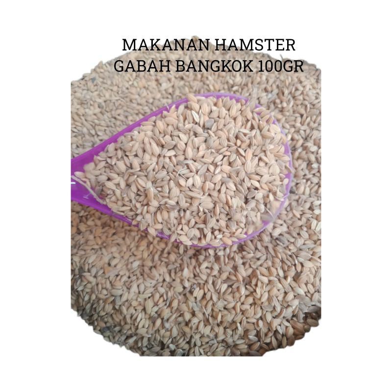 Makanan Hamster Gabah Bangkok