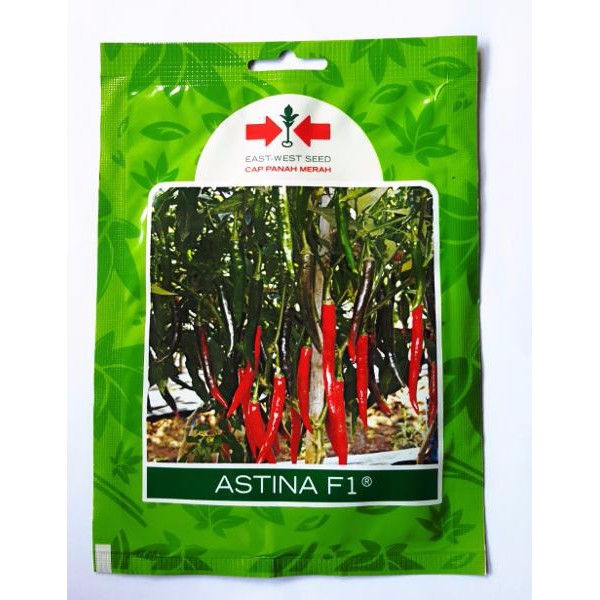 Benih Cabe Cabai Besar Astina F1 Panah Merah 125 btr