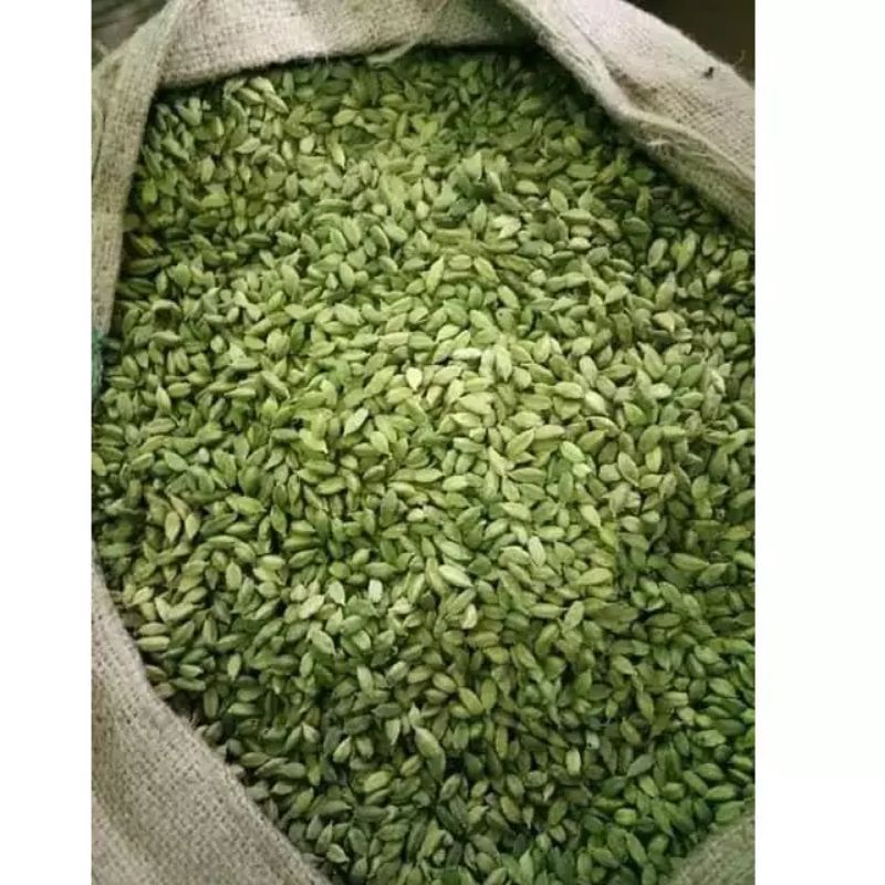 Kapulaga India (100 gram) / Kapulaga Arab / Kapulaga Hijau / Green Cardammom