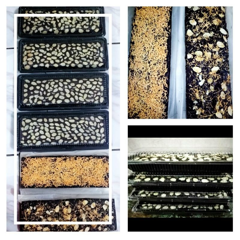 

Brownies fudgy panggang legit ukuran 20x10