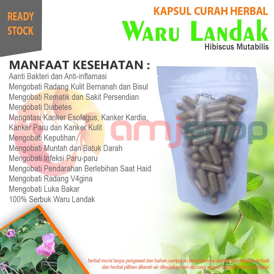 

Kapsul curah herbal waru landak kapsul herbal anti bakteri radang kulit bisul nanah diabetes rematik sakit persendiaan