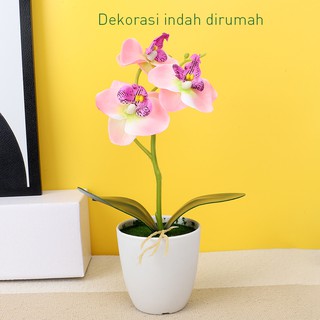 Aonez 3buah bunga pajangan hias anggrek bisa untuk meja Aonez 3buah bunga pajangan hias anggrek bisa untuk meja