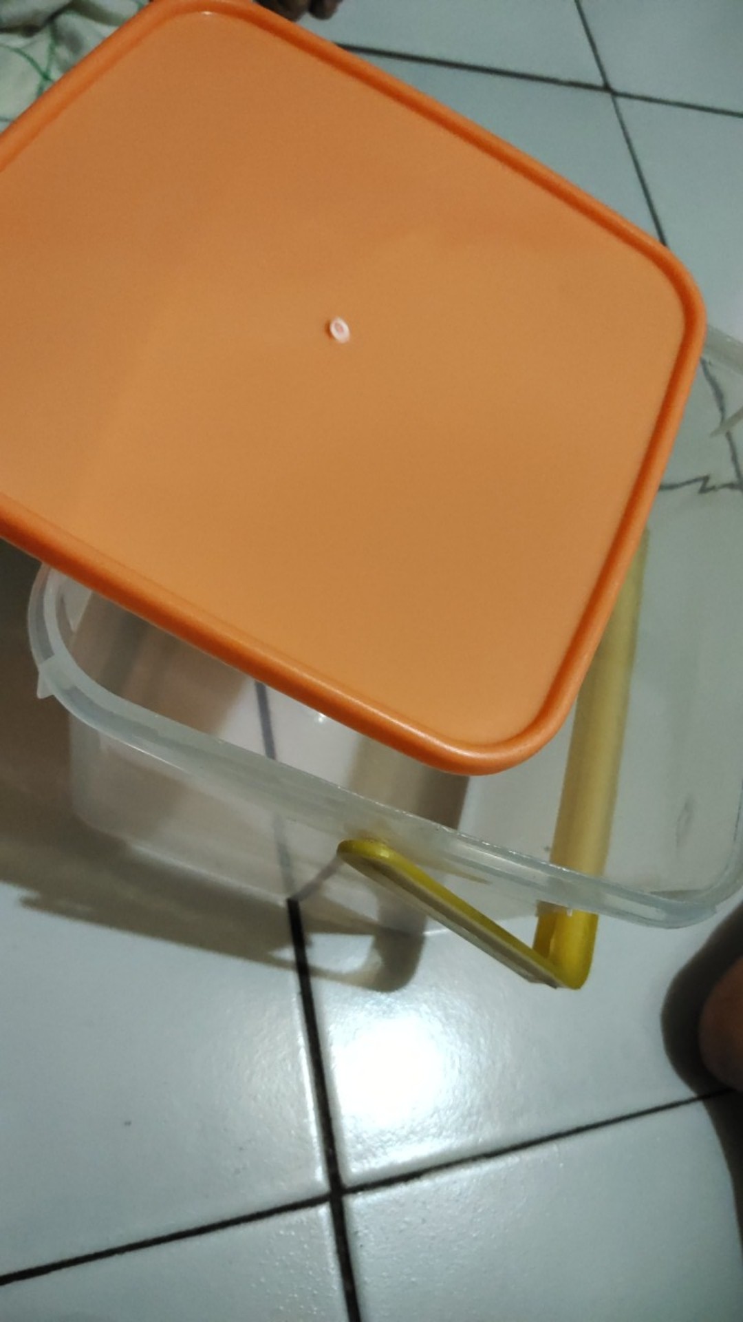 Toples Sealware Tenteng Gagang Kotak Plastik Agatha