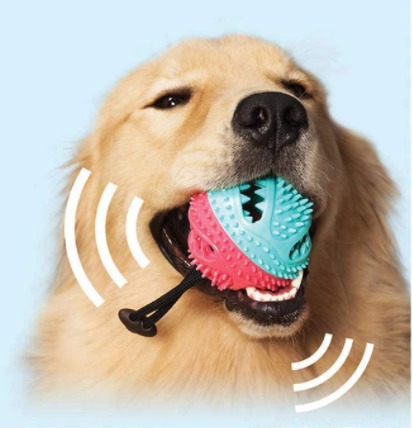 Self Tooth brush Molar Bite Treats ball