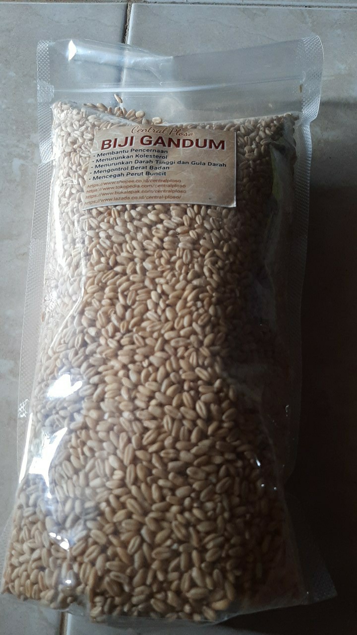 Biji Gandum Berat 1 Kg Import Dari Maroko