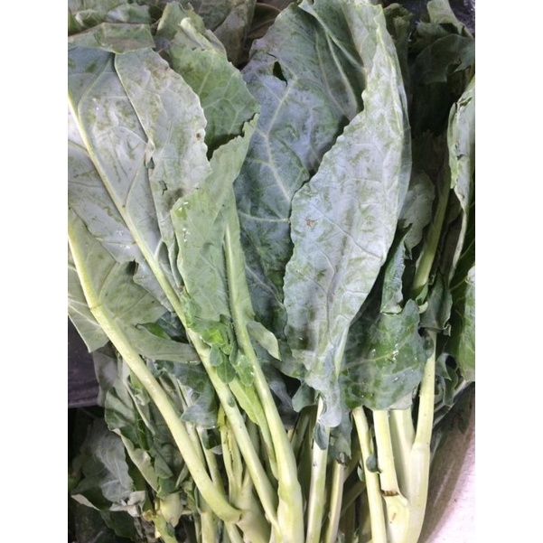 

sayur kaylan 500 gram