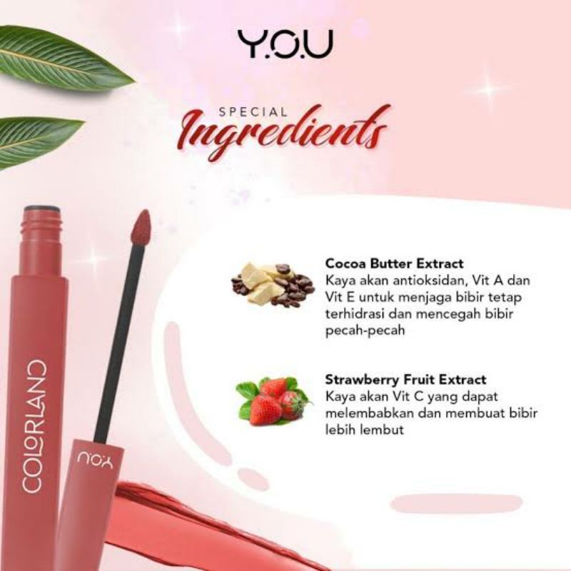 YOU COLORLAND POWDER MOUSSE LIP STAIN
