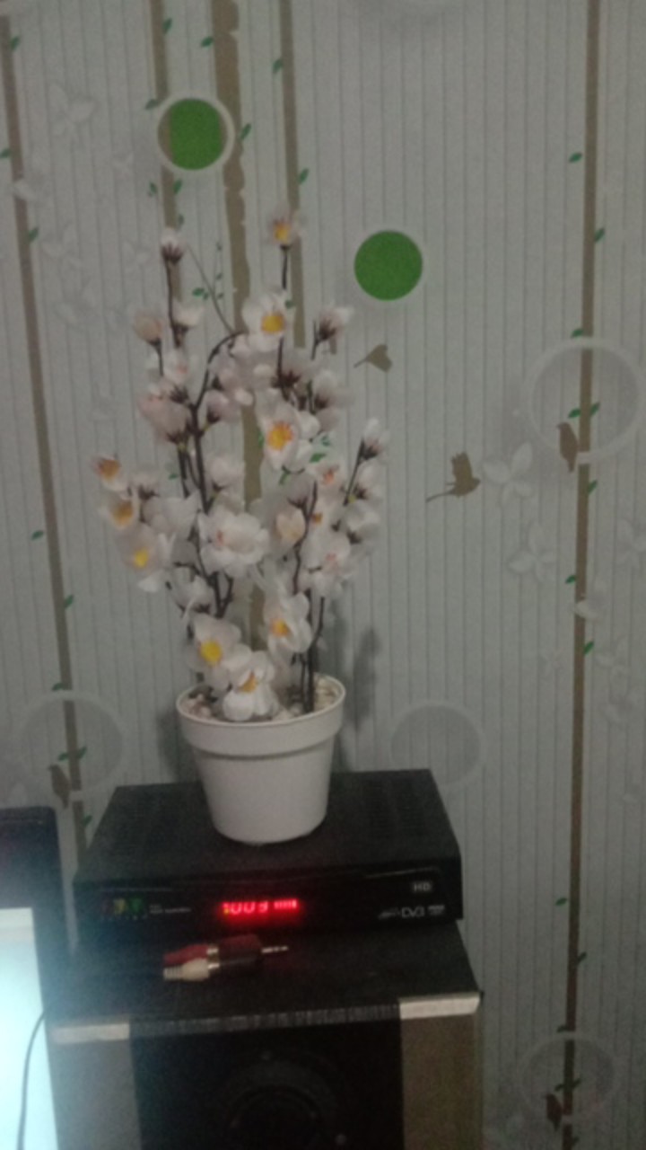 Sakura Pot Plastik D 10cm