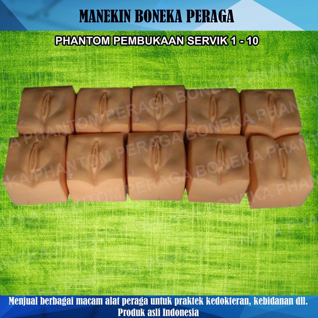 MANEKIN / PHANTOM PEMBUKAAN SERVIK 1-10 / ALAT PERAGA KEBIDANAN