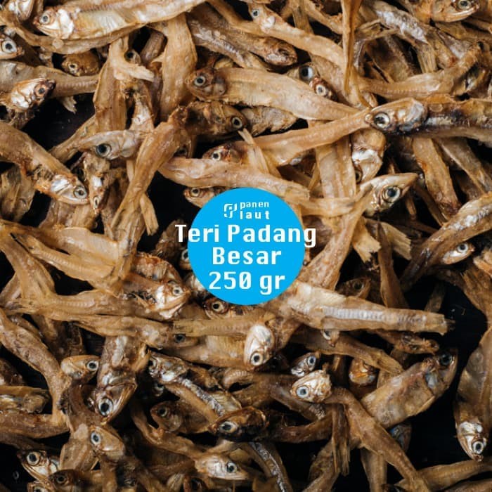 

Panen Laut - Ikan Teri Padang Besar 250gr