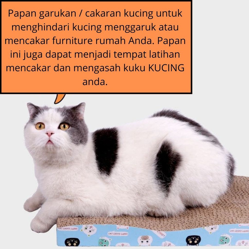 CAT SCRATCHER - MAINAN KUCING GARUKAN KUCING CAT SCRATCHING BOARD FEFARM