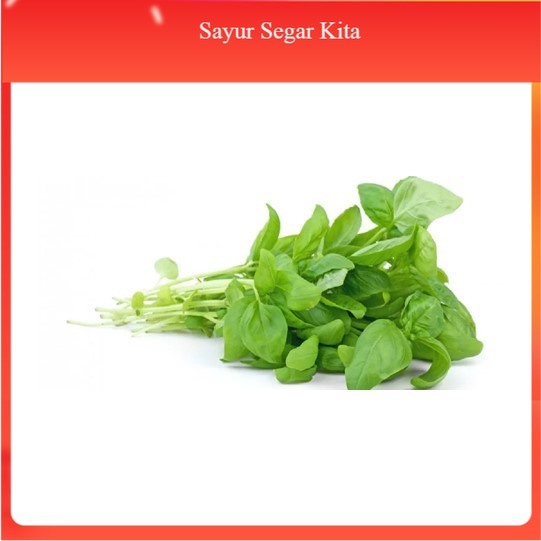 

Bayam Petik 250 gr