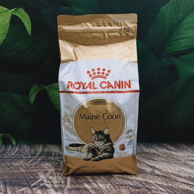 Royal canin mainecoon adult 2kg/makanan khusus kucing Mainecoon adult/freshpack