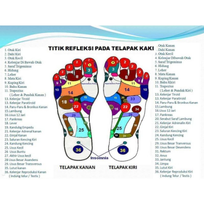 Sendal Kesehatan Sandal Refleksi Rematik Terapi Kaki Akupuntur / Deker Terapi Lutut