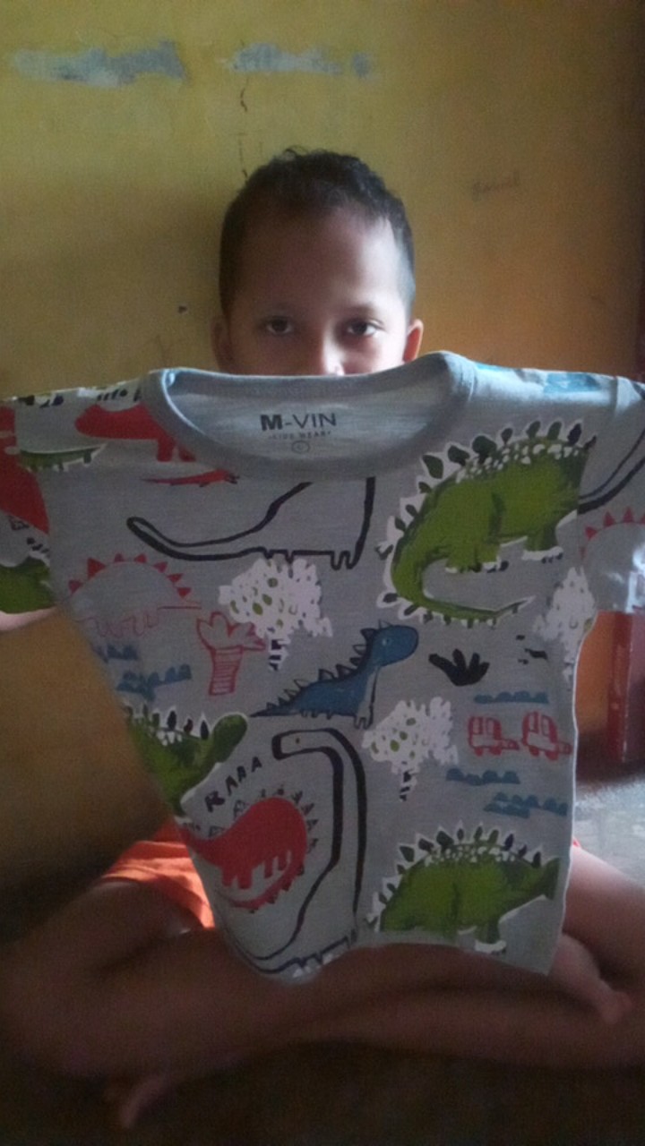 Baju Kaos Anak / Atasan Anak Lucu / Kaos Anak Laki Laki / Tumblr Anak 1-9tahun Mvin
