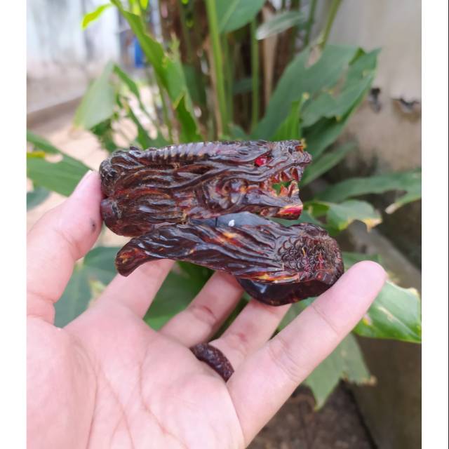 Gelang Akar Bahar Merah Ukir Naga Samping