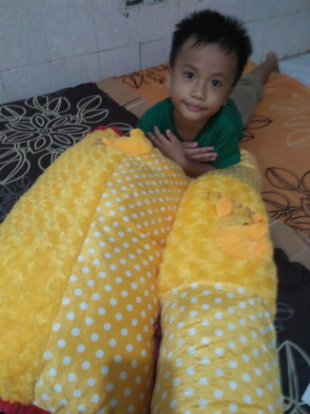 Bantal Guling / Bantal Cinta Karakter