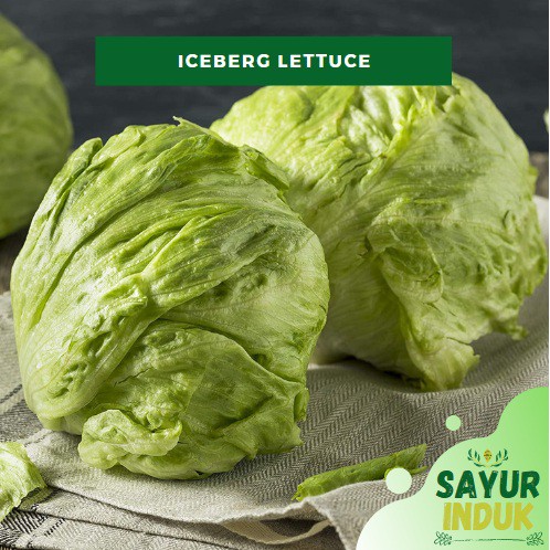 

Sayur Induk - Head Iceberg Lettuce 250 Gram Fresh Grade A