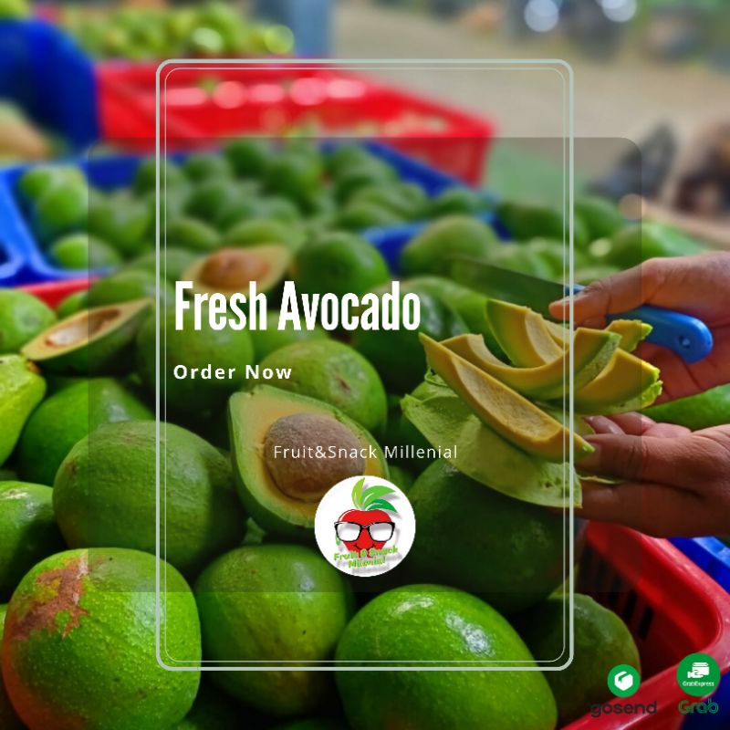 

Alpukat Mentega Fresh (Bobot Timbang 900gr-1100gr)