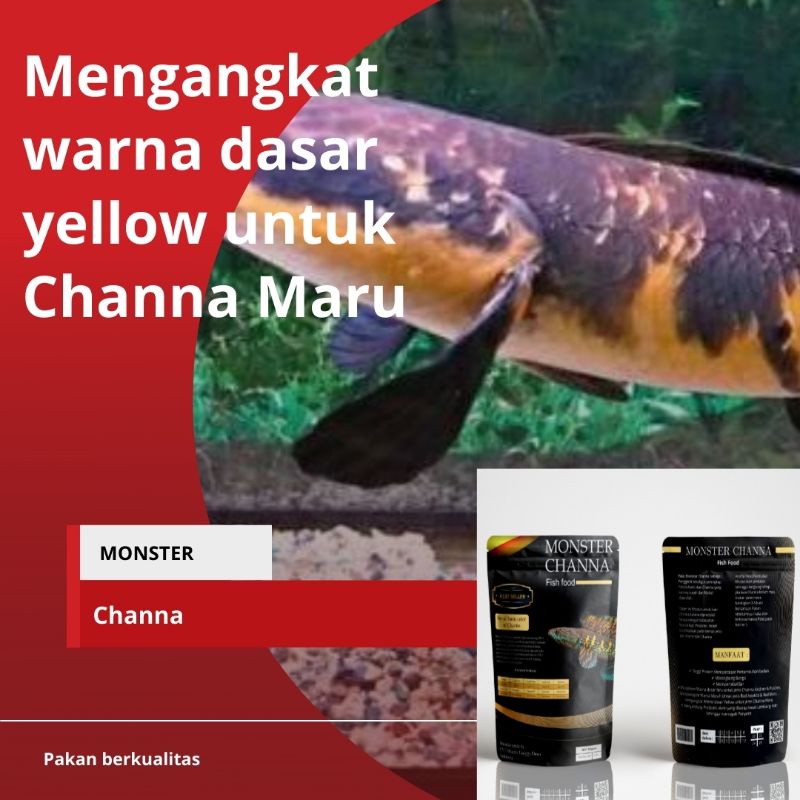 MONSTER CHANNA 100 gram Pelet Spesial untuk ikan Chana