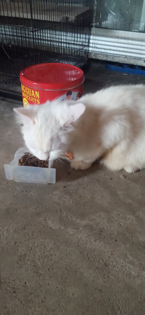 Tunik Batik Seragam Atasan Batik Terlaris