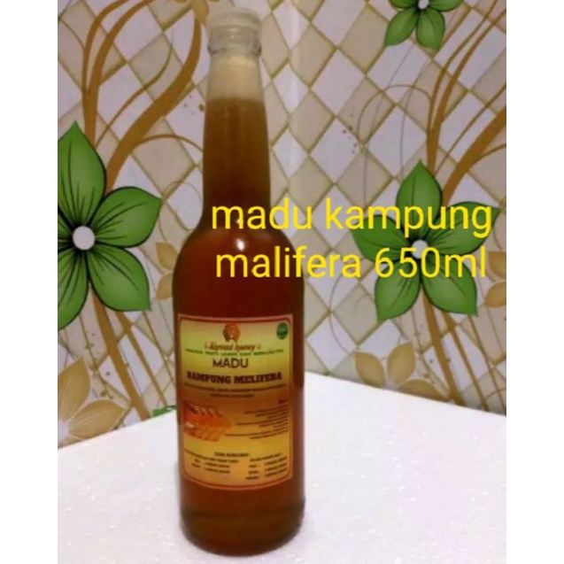 

madu kampung malifera