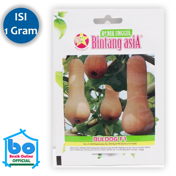 Benih Labu Madu BULDOG F1 Bintang Asia