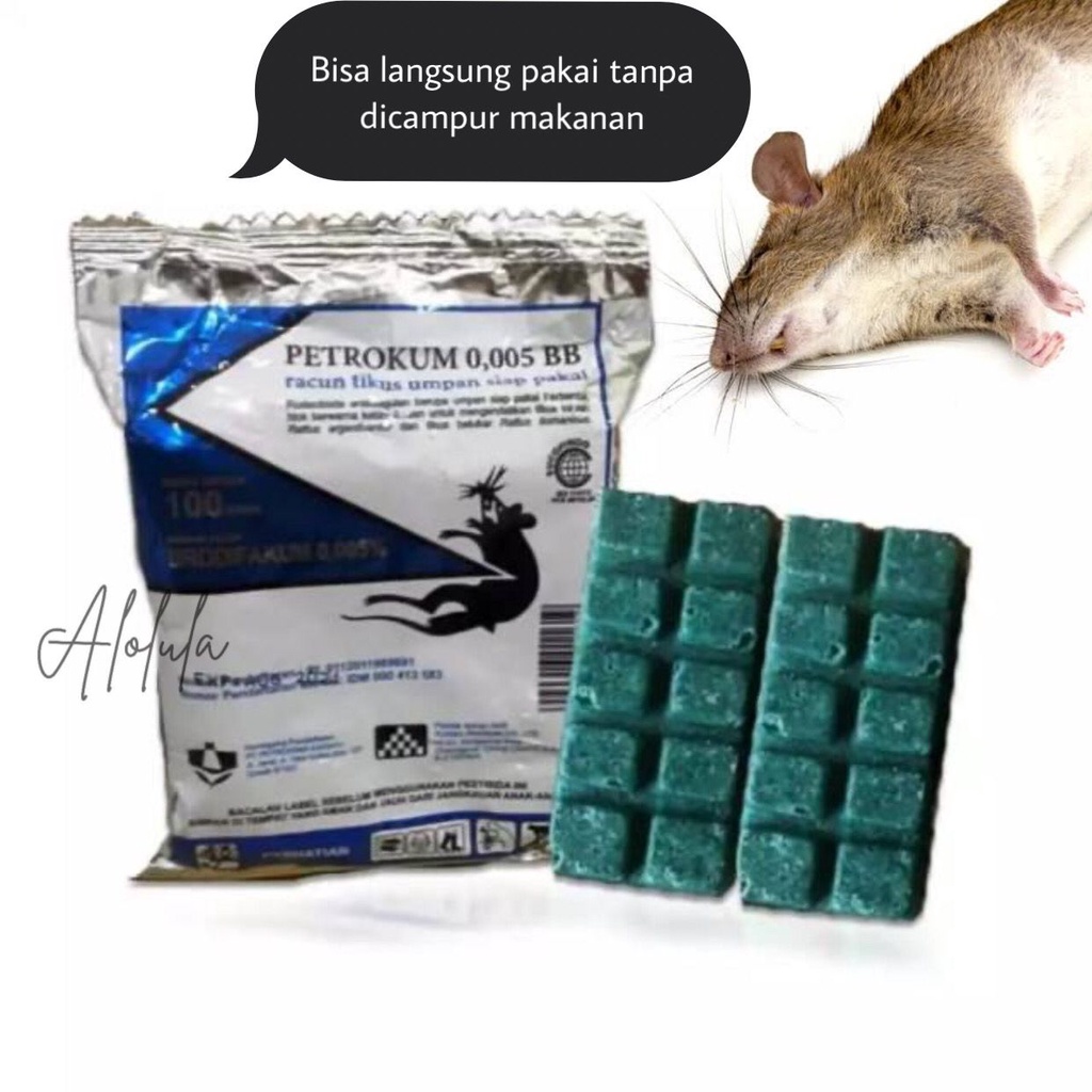 Alolula - Racun Tikus Ampuh Mati Kering Tidak Bau / Pembasmi Tikus Paling Ampuh / Pembasmi Hama