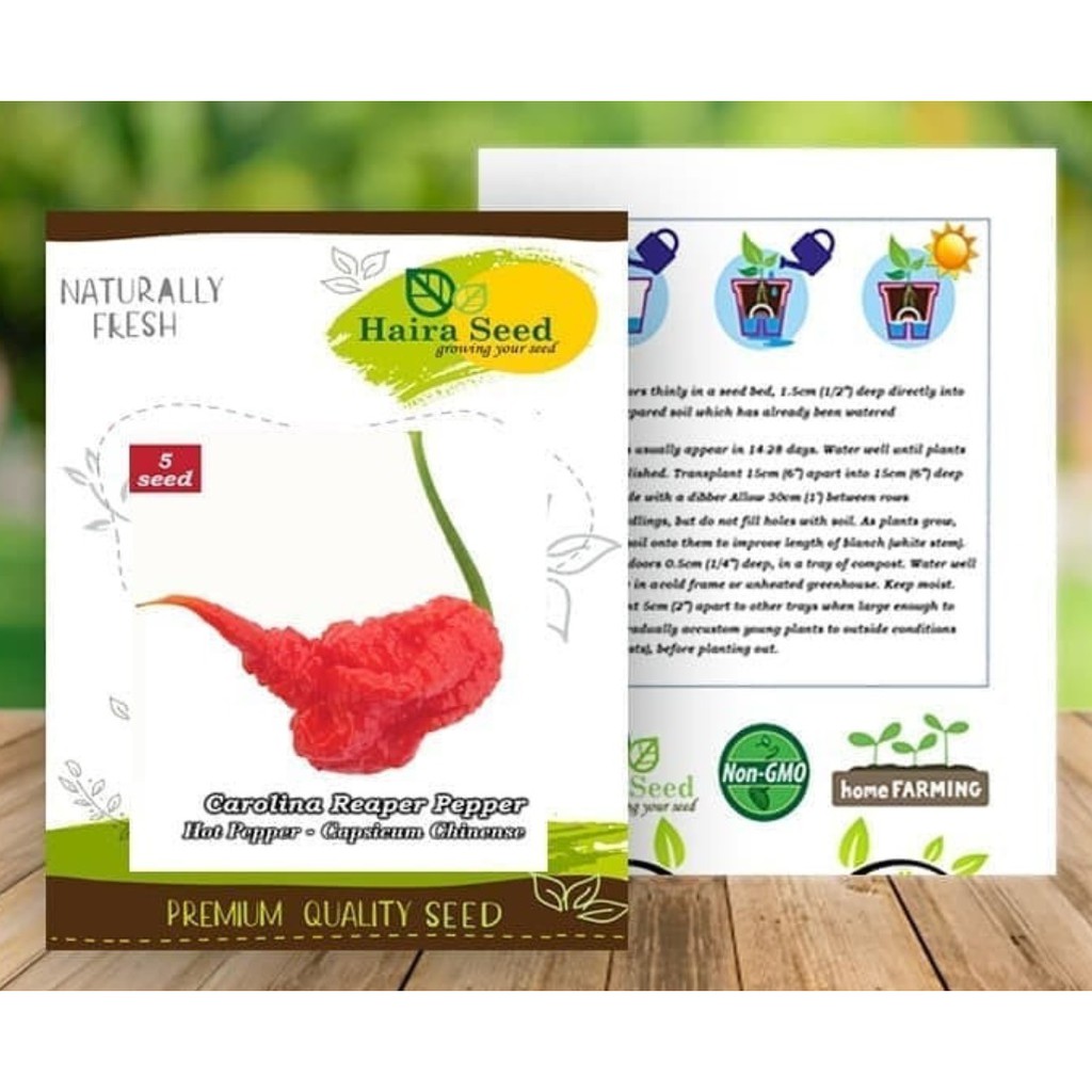 BIBIT CABE PEDAS / CAROLINA PEPPPER REAPER / HAIRA SEED / ASLI PABRIKAN