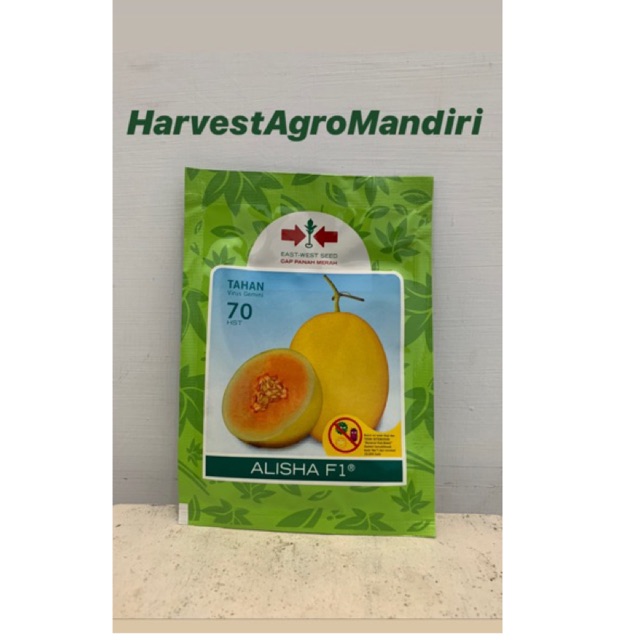 Benih/bibit Melon Alisha F1 kemasan 400 biji