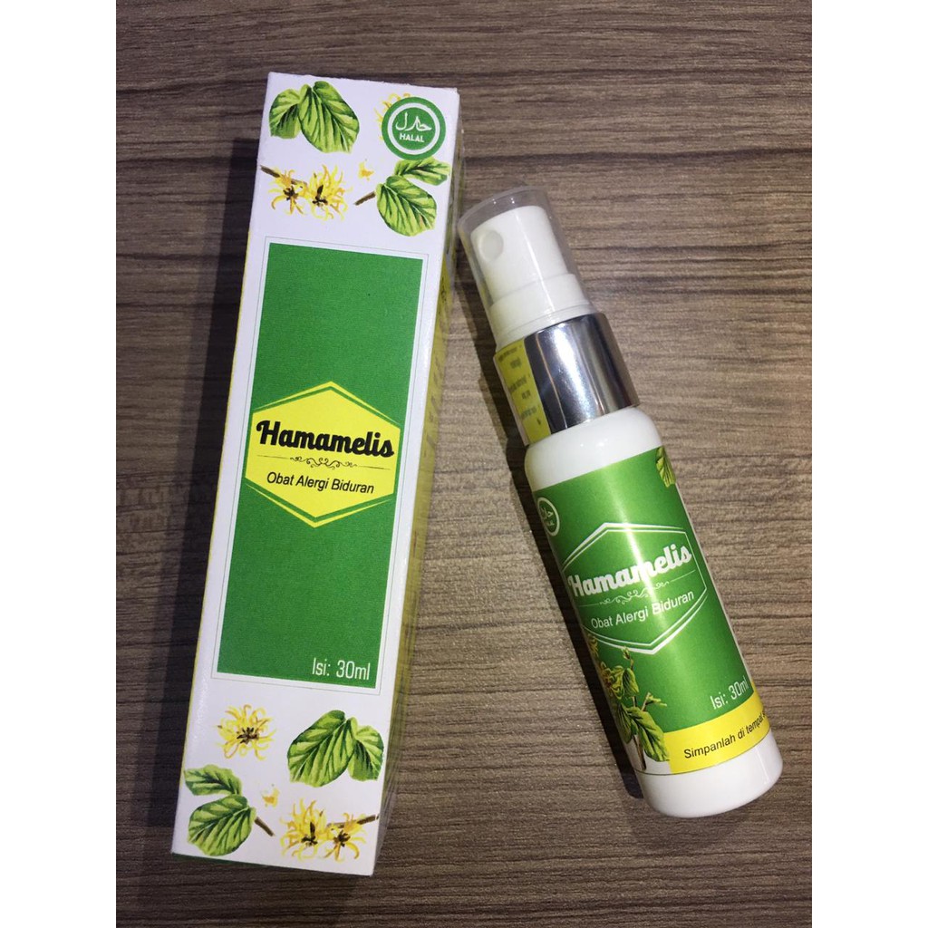 Hamamelis Obat Biduran  Obat  Kaligata Obat  Kulit Gatal 