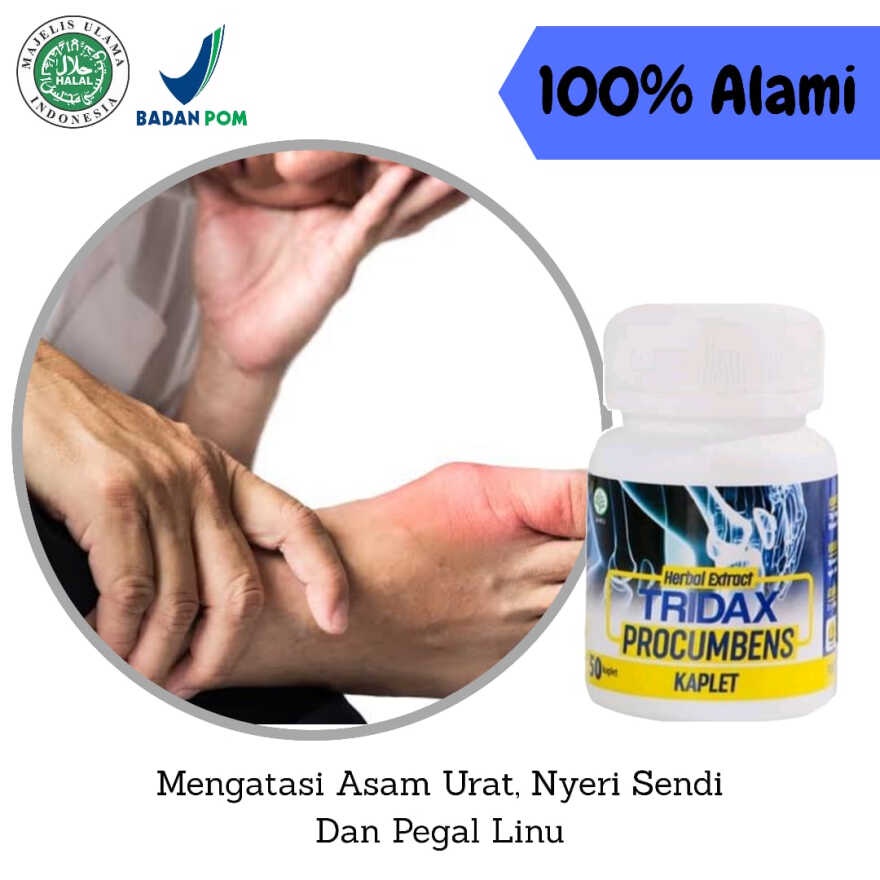 TRIDAX PROCUMBENS Original Obat Herbal Saraf Kejepit Asam Urat Pegal Linu Nyeri Sendi Encok Rematik Ampuh