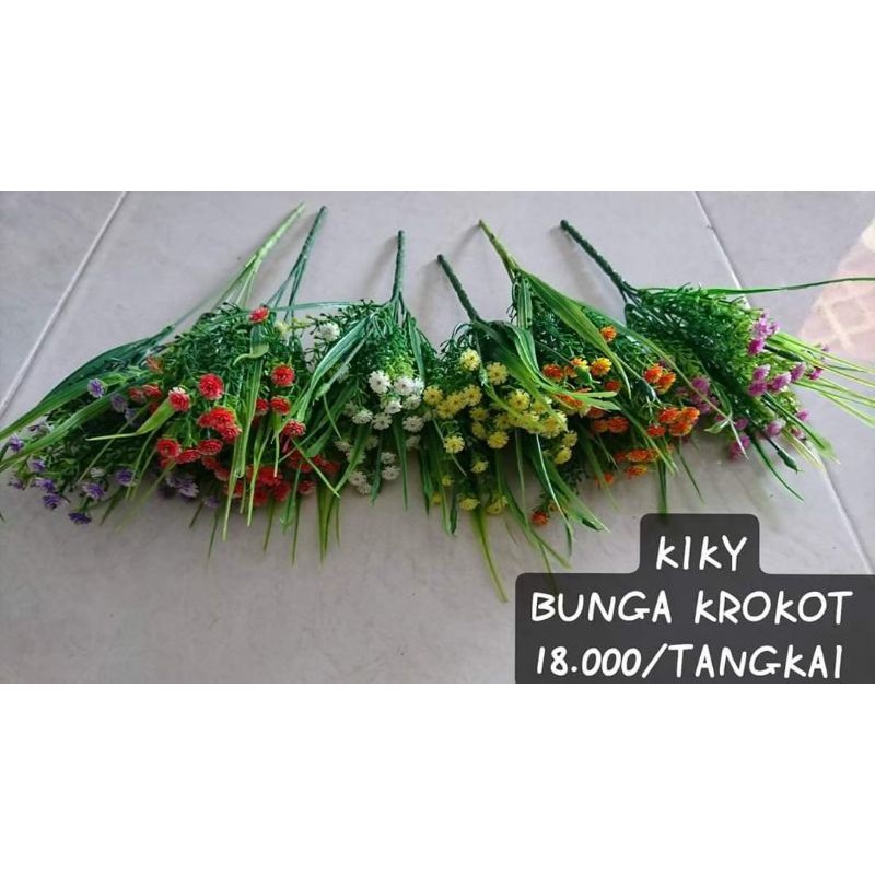 

Kiky bunga krokot