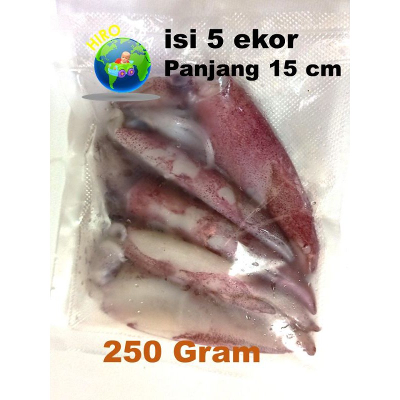 

Cumi segar Panjang 15 s.d. 20 cm isi 3 - 5 350 Grm