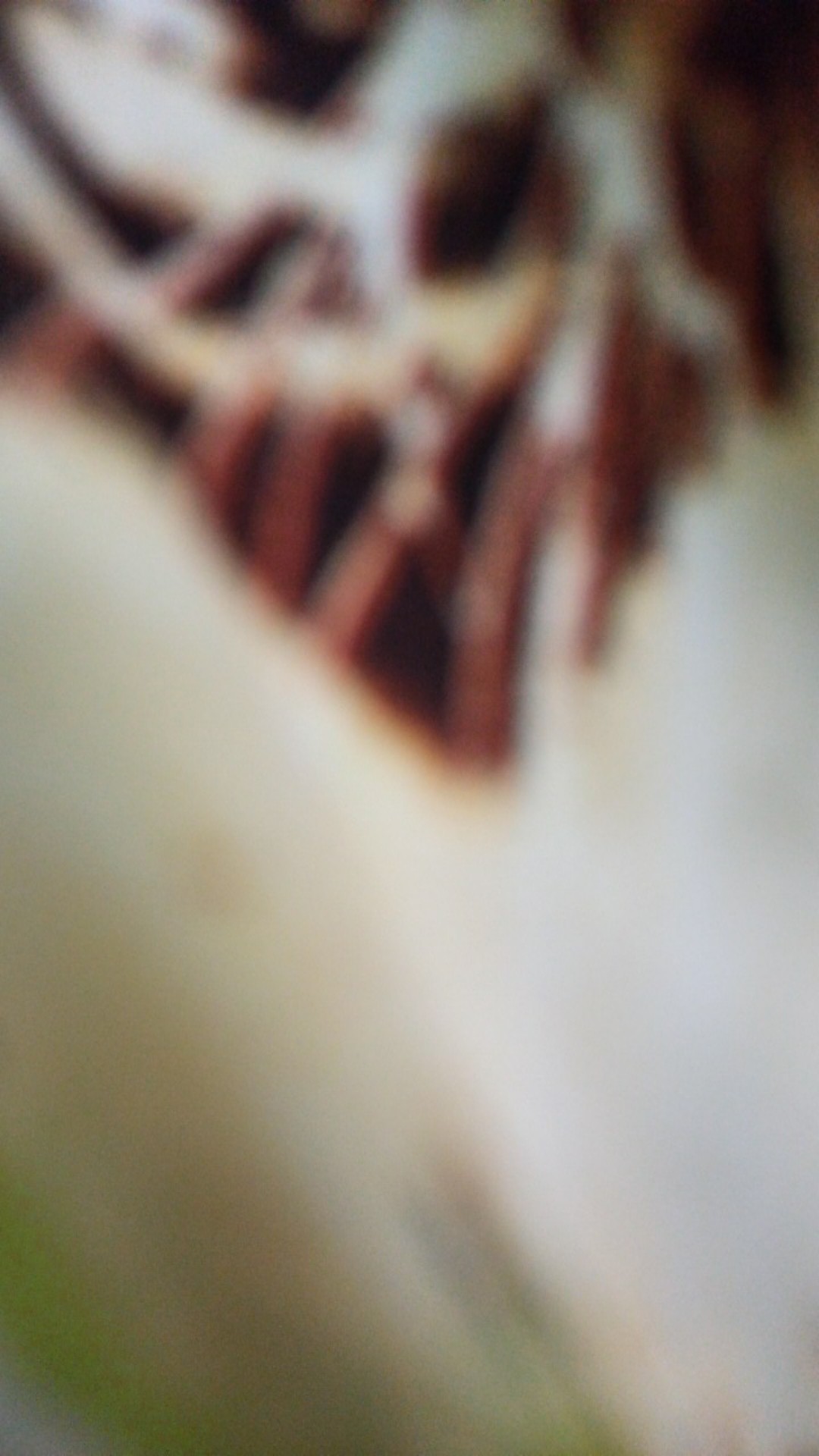 Kresek Motif Olshop Kecil 13x20/ Kantong Plastik Olshop / Kantong Kresek