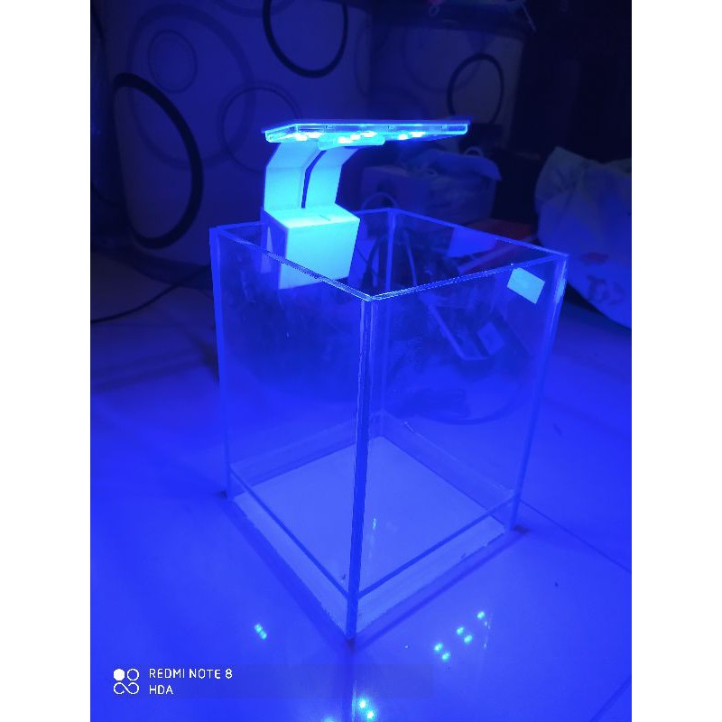 Lampu Soliter Cupang Hanya Lampu