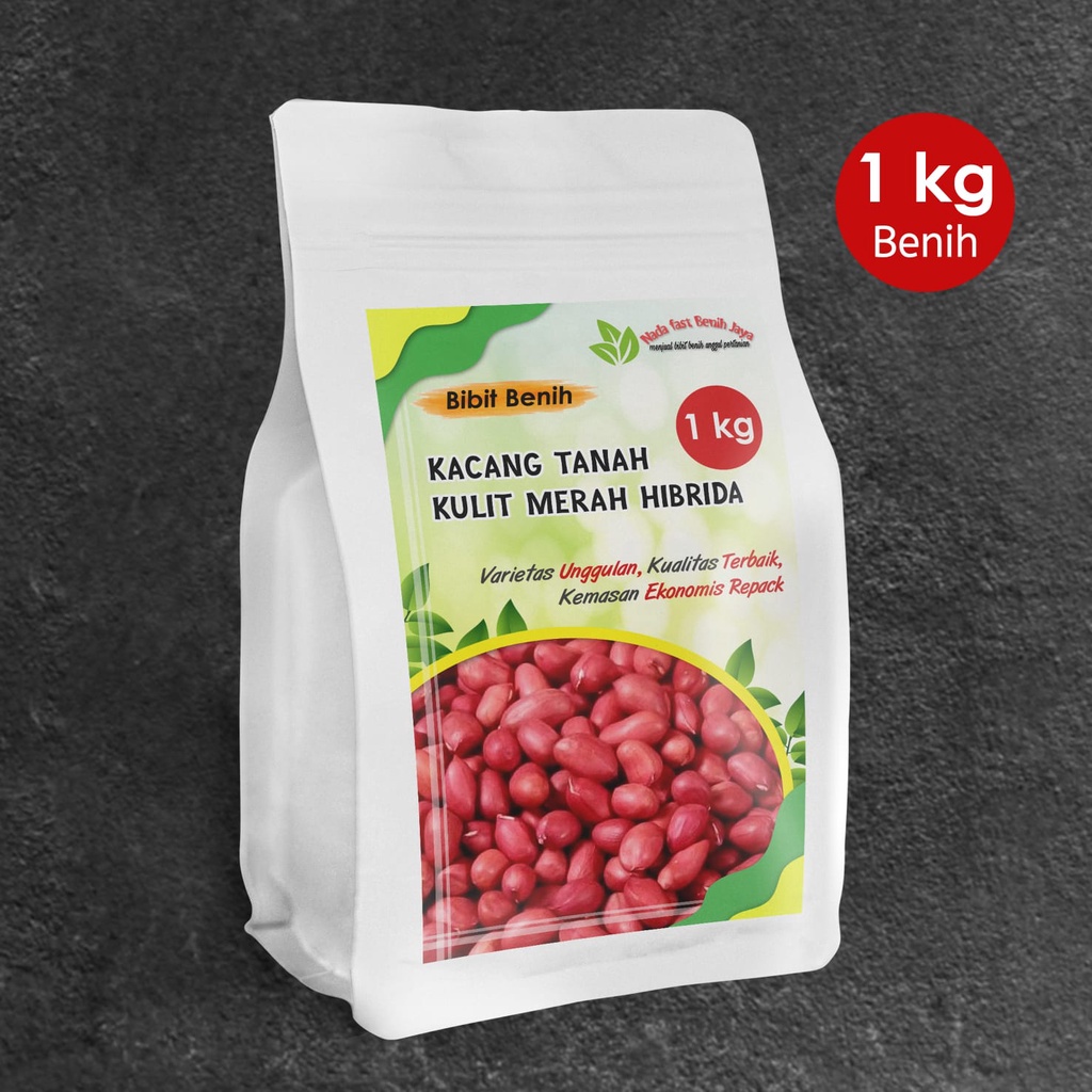 Jual Bibit Pilihan Benih Kacang Tanah Super Kulit Merah 1 Kg Benih