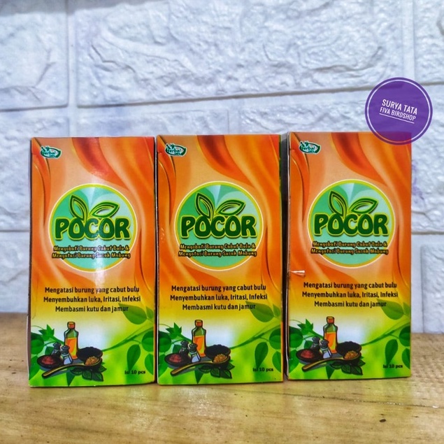 jambu jamu burung pocor obat herbal untuk burung susah mabung dan cabut bulu burung murai batu kacer