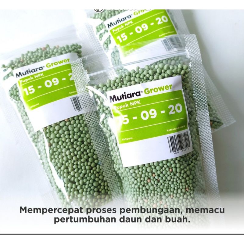 pupuk npk grower 15 09 20 - 100 gram