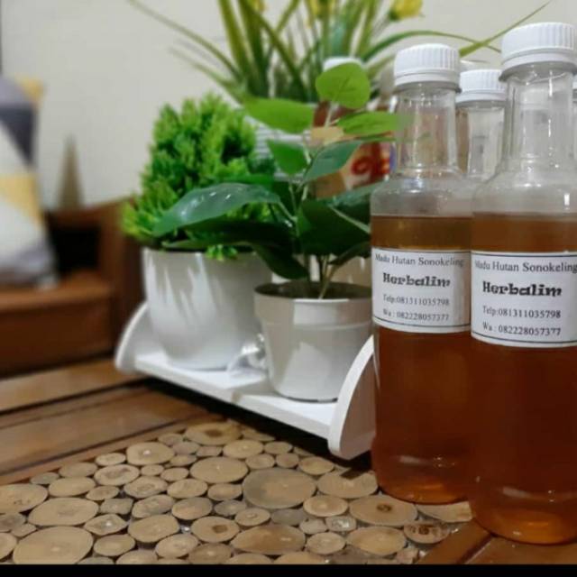 

Madu Hutan 100% ASLI