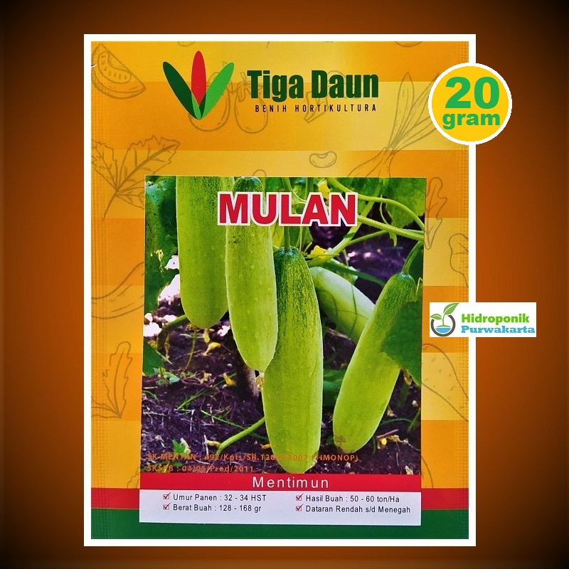 Jual Benih Mentimun Timun Mulan Tipe Lalap Cap Tiga Daun Isi Gram Shopee Indonesia