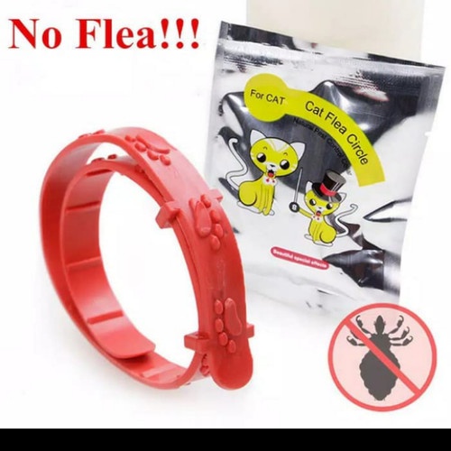 Kalung Anti Kutu Kucing - Collar Anti Flea/Pest for Cat/Kitten