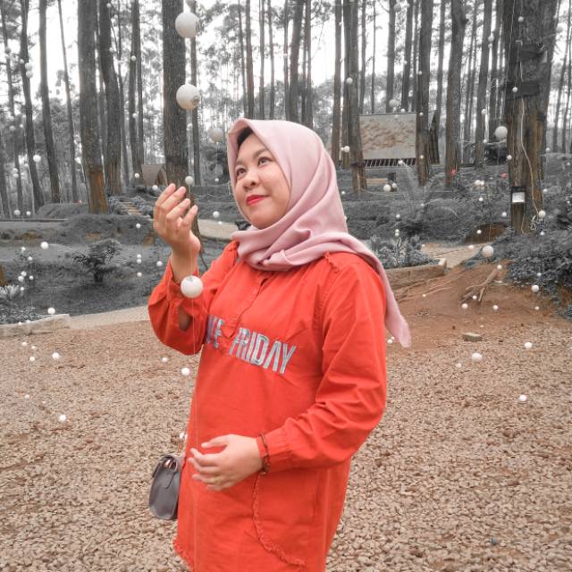 miselliamonthana