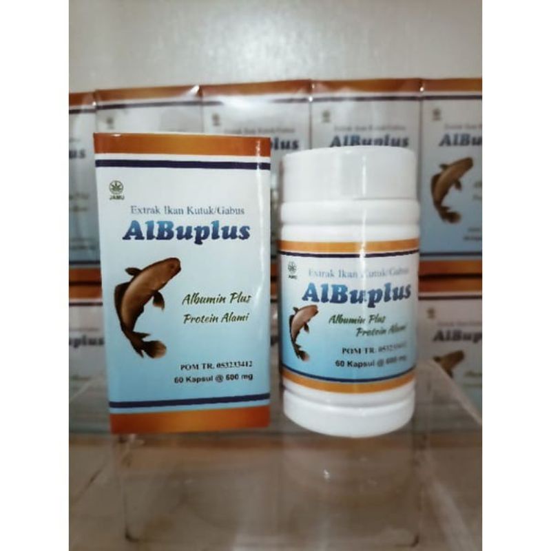 Ekstrak ikan gabus albuplus original