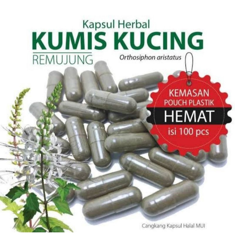 kapsul kumis kucing herbal halal